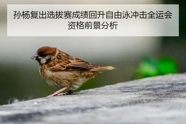 孙杨复出选拔赛成绩回升自由泳冲击全运会资格前景分析